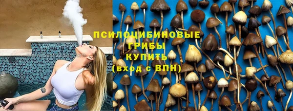ешки Алзамай